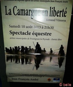 La Camargue en liberté