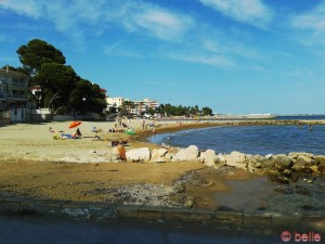 Strand links