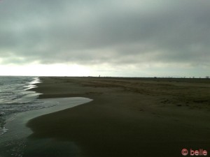 Traumstrand Platja de l'Eucaliptus
