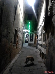 Gassen in der Altstadt von Genua