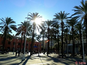 traumhaftes Wetter in Genua