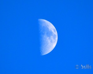 Halbmond! 20:08 Uhr