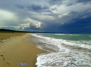 Strand 10km vor Termoli – ein Traum!!! ...das Wetter allerdings nicht!