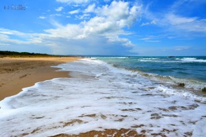 Dream-Beach of Termoli