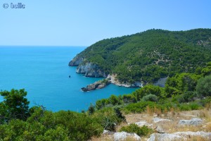 Adriatico Coast