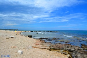 Coast of Mola di Bari