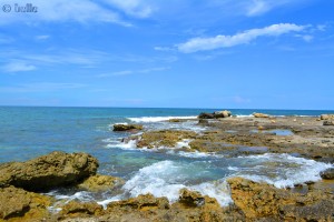 Coast of Mola di Bari