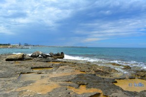 Coast of Mola di Bari