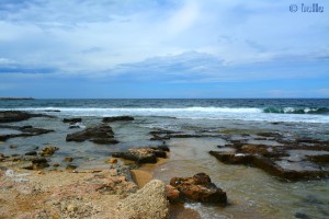 Coast of Mola di Bari