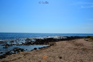 Beach of Torre Mozza