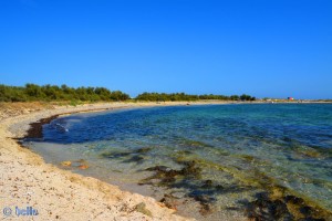 Beach of Torre Mozza