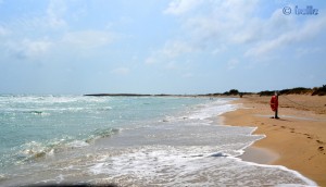 Beach of Torre Mozza