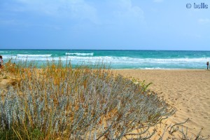 Beach of Torre Mozza