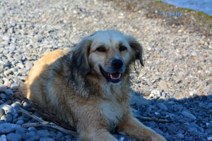 Nicol am Strand von Trebisacce – sie schaut auch ein bisschen ko aus die Kleine!