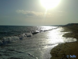 Beach of Santa Monica – Praialonga