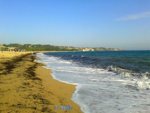 Beach of Santa Monica – Praialonga