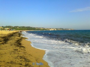 Beach of Santa Monica – Praialonga