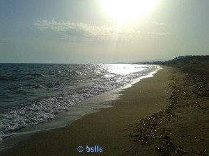 Beach of Santa Monica – Praialonga