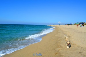 Santa Monica Beach