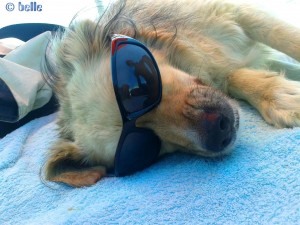 ...relaxing on the Beach of Santa Monica