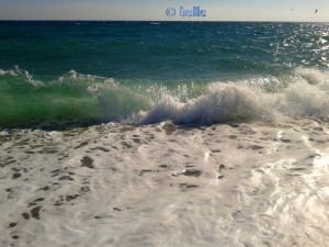 Big Waves at the Beach of Santa Monica