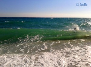 Big Waves at the Beach of Santa Monica