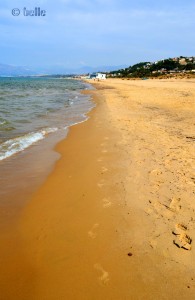 ...Deine Spuren im Sand *lalala*, die ich gestern noch fand *tralalala*