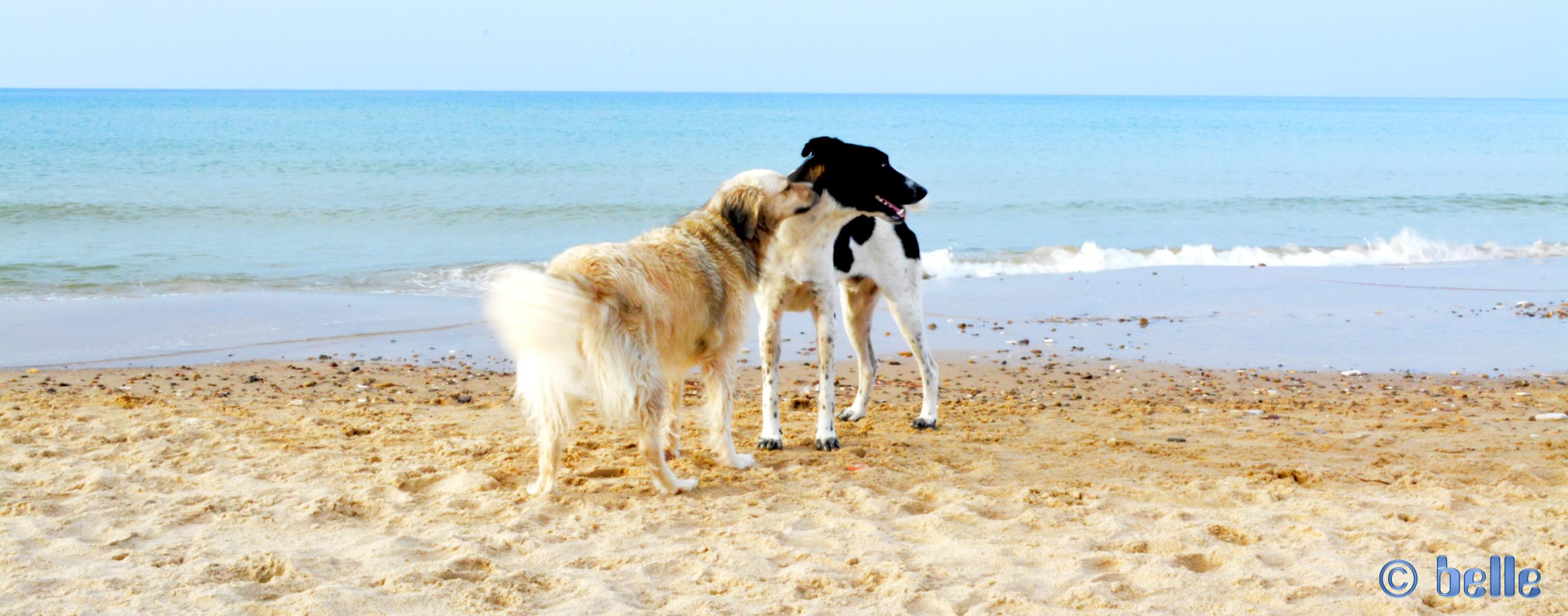 Nicol and Boy von Alcamo at the Beach of Alcamo - Golfo di Castellammare