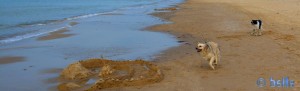 Nicol and Boy von Alcamo at the Beach of Alcamo - Golfo di Castellammare