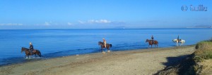 Reiter am Strand von Marsala