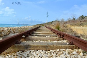 Auf dem Weg zum Traumstrand – stillgelegte Gleise