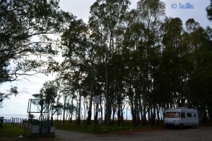 Parking at the Beach and Forest of San Marco