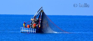 Fisherboat at the Beach of Nicotera Marina