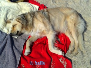 Nicol relaxing at the Beach of Nicotera Marina