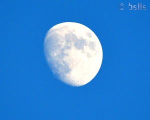 Moon in Ferriolo - Curinga