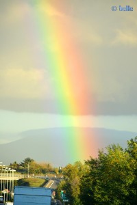 Rainbow in Roma