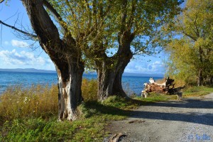 Lago di Bolsena