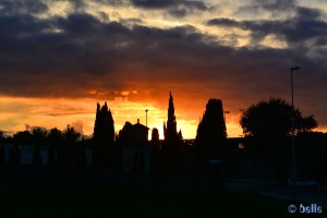  Sunset in San Vincenzo