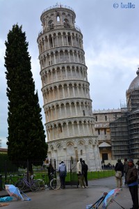 ...auch die Bäume wachsen offenbar schief :) Torre Pendente di Pisa – Schiefer Turm von Pisa