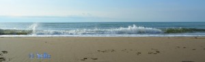 Dream-Beach at Marina di Torre del Lago Puccini