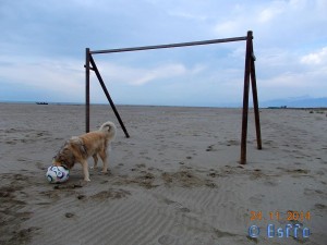 Was da wohl in diesem Ball ist??? Nicol at the Dream-Beach at Marina di Torre del Lago di Puccini