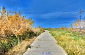 Way to the Beach in Dénia