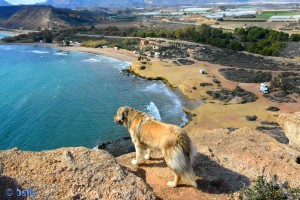 Nicol up on the Top - Pulpí - Almeria - Spain - Playa de las Palmeras