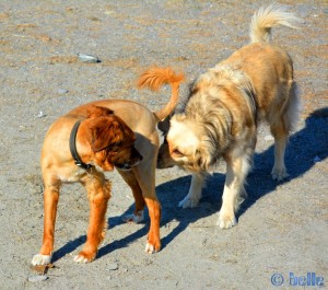 Kiko and Nicol in Puerto Motril – Andalucía - Spain