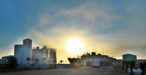 Fog in Puerto Motril – March 12 2015 – 8.26PM