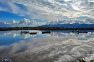 Rio de las Cañas O Palmones