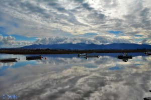 Rio de las Cañas O Palmones