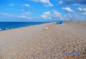 Parking directly at the Beach in Salthouse – August 2012