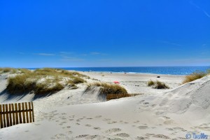 Dunes at Praia de Torreira - Avenida António Augusto Valente Almeida, Portugal