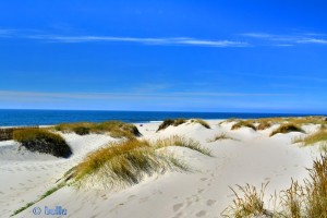 Dunes at Praia de Torreira - Avenida António Augusto Valente Almeida, Portugal